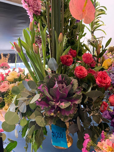 FLORERIA ANDREA GARIBAY