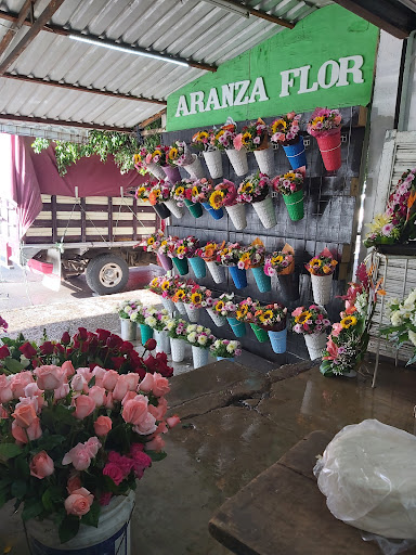 Aranzaflor Floreria