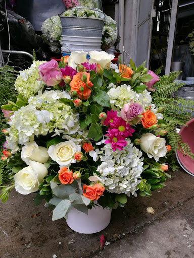 Floreria Tomas Elizalde Diseñador