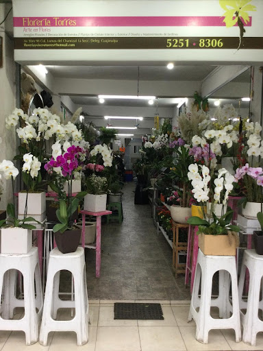 TORRES FLORERIA Y VIVERO