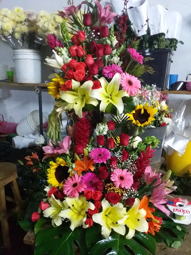 Floreria Ave Del Paraiso Vargas