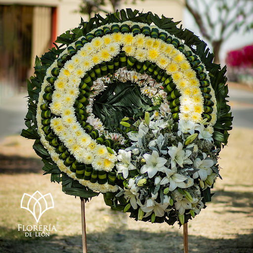 Florería de León