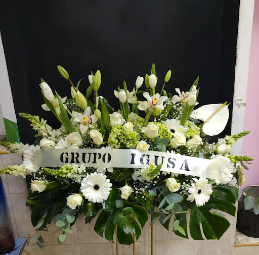 Los Girasoles