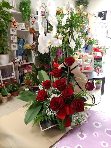 FLORISTERÍA JACARANDA EVENTI