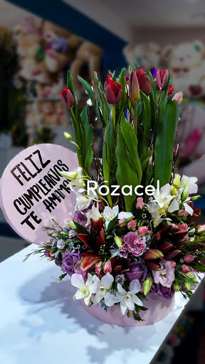 Rozacel Florería