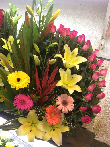 Florería Guadalupe Inn