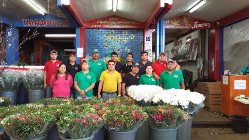 Flores Jiménez