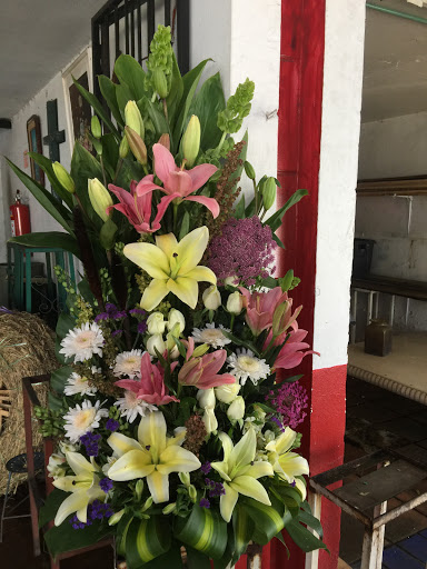 Floreria Hilda Sosa