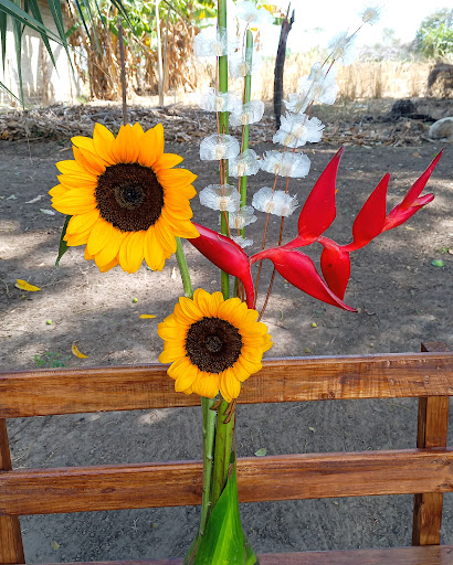 Girasoles y algo más