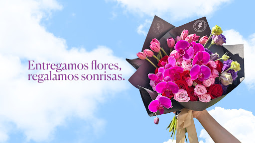 Corazón de Violeta Floristería, Playa Del Carmen
