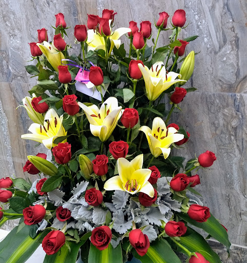 Mitzi Floristeria