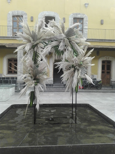 Floreria Bethania