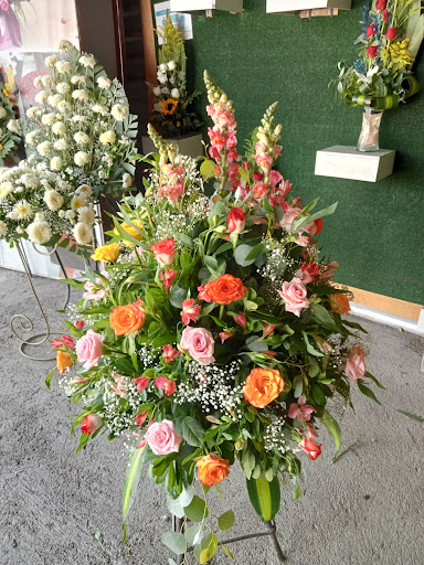 Betania Floristería