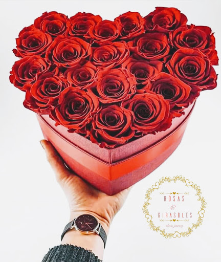 Flores rosas & girasoles alexis Jiménez