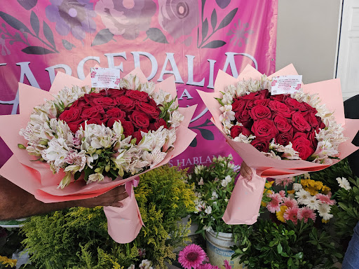 Arcedalia Florería