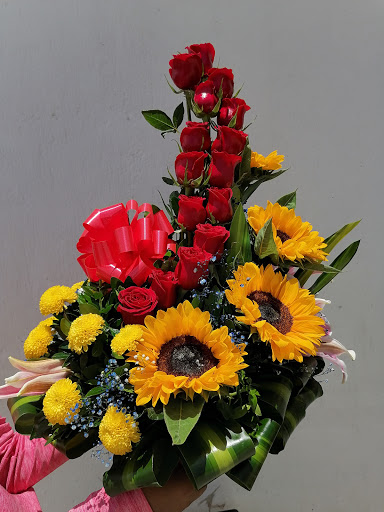 Flores Lucí
