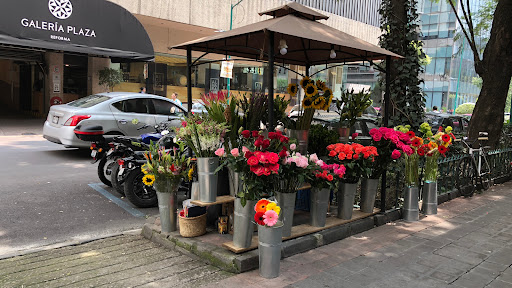 Mi Florista® | Flower Shop