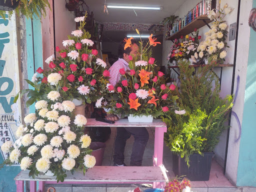 Florerías y artesanías mázahua