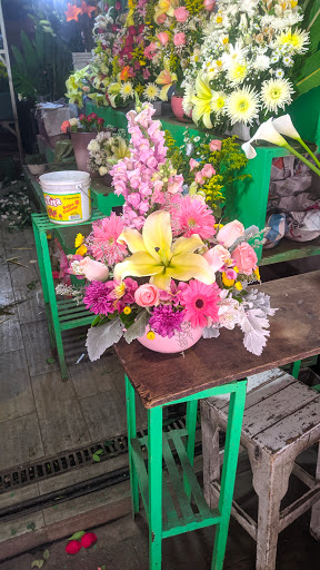 FLORERIA SOLEDAD