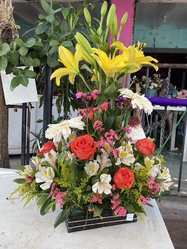 Florería “El Alcatraz” Camarón