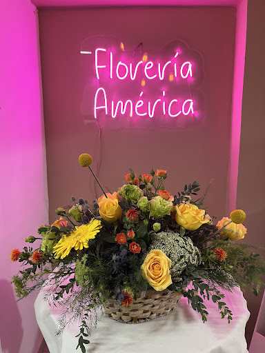 Florería america