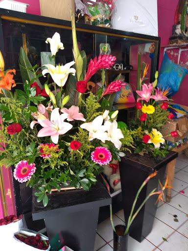 El mundo de las flores