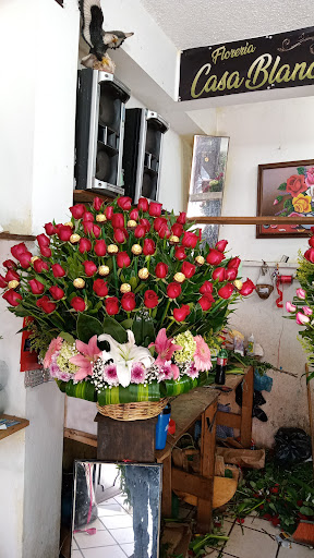 Floreria Casa Blanca