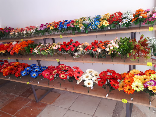 Florarte del istmo