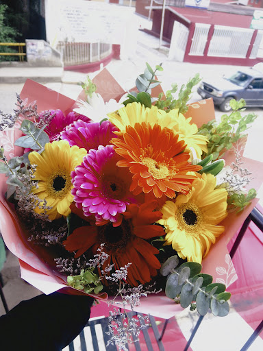 Floreria Inmaculada Concepcion