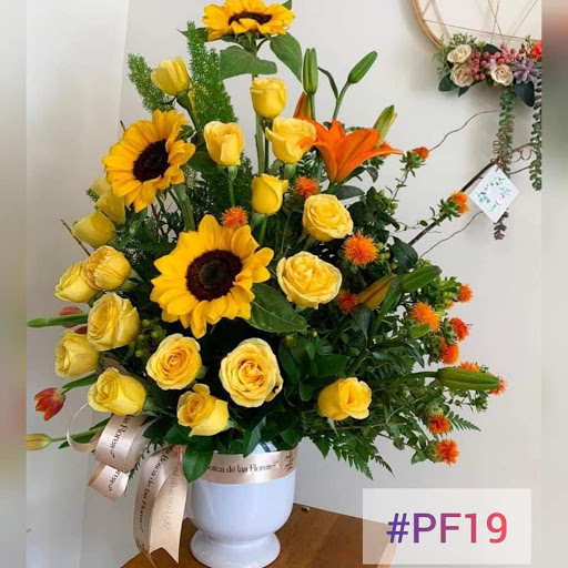 Floristería Paraíso Floral