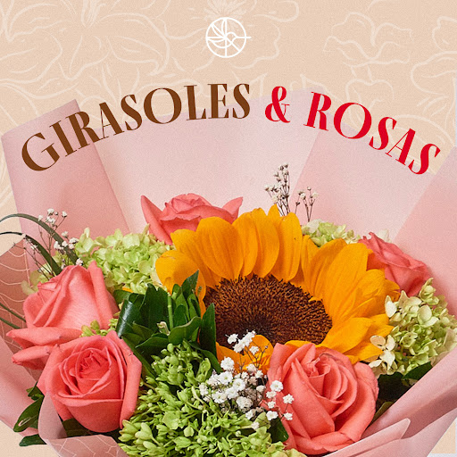 Colibrí floristería