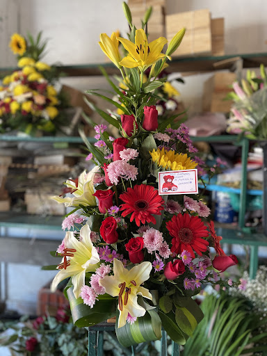 Florería Xochimilco