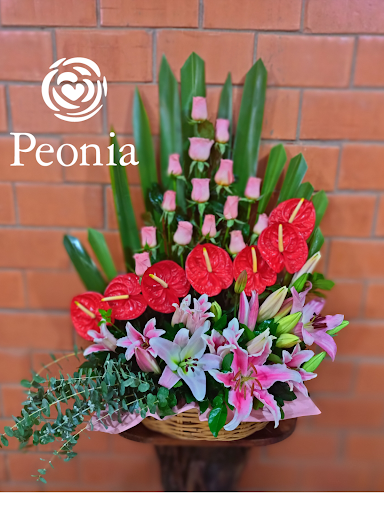 Peonias floreria
