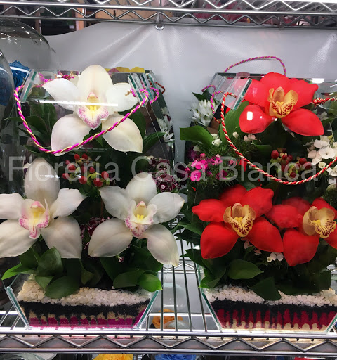 Florería Casa Blanca