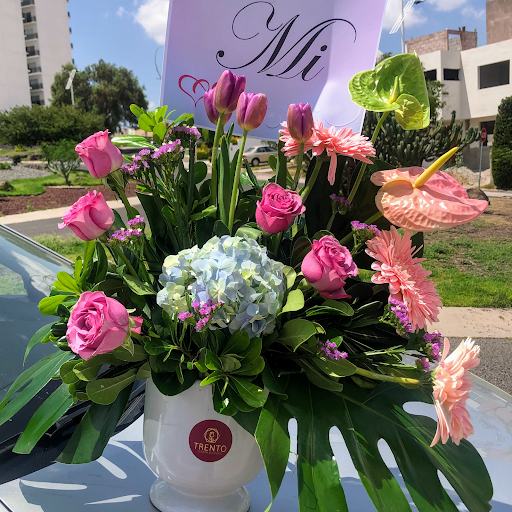 Florería Trento