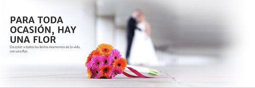 Florería Detalles y Caprichos