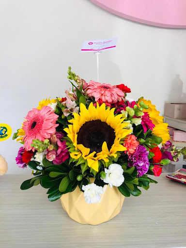 Punto Bonito Florería