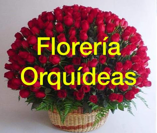Floreria orquideas