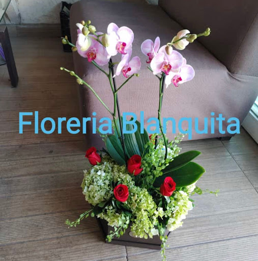 Florería Blanquita Bosques