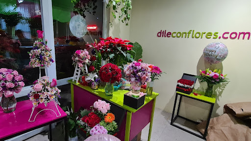 Florería Bosque Real