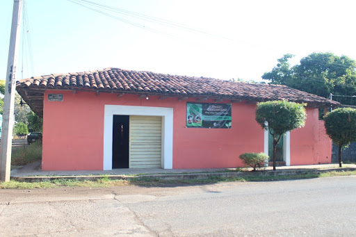 Vivero Comunitario Forestal "Profa. Irma Fierros Fuentes"