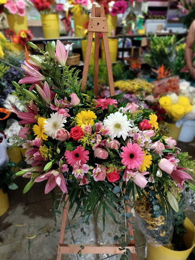 Floreria Xochilt Sofia