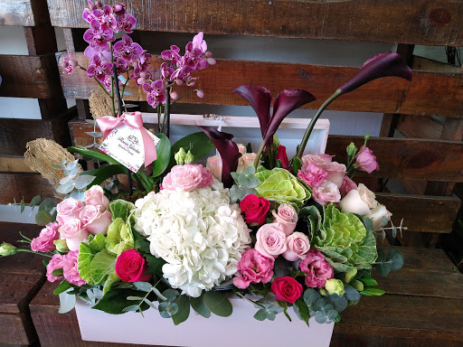 Bris Sandoval Diseño Floral (Flower Garden jal)