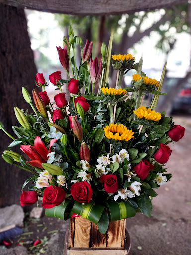 Florería Fabian's