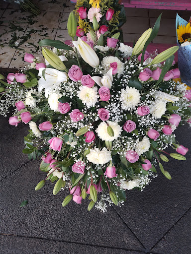 FLORERÍA JIMENEZ