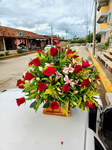 Floreria Xochilt Sofia