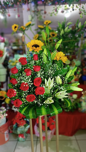 D'tallitos Florería y Regalos