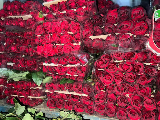 Flores Jimenez Puerto Escondido