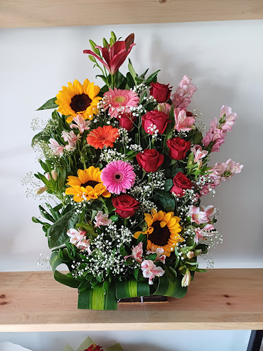 Floreria Puerto Escondido