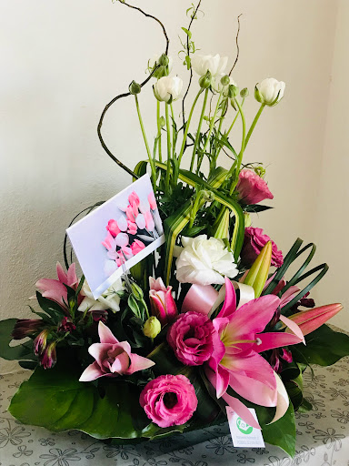 Cattleya Floristería Fina